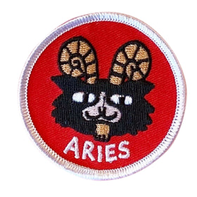 Aries Catstrology Patch