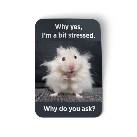Why Yes I'm a Bit Stressed Hamster Sticker