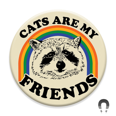 Raccoon Buddy Magnet