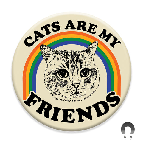 Worried Shorthair Cat Friend Magnet