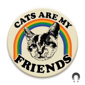 Suspicious Brindle Cat Friend Magnet